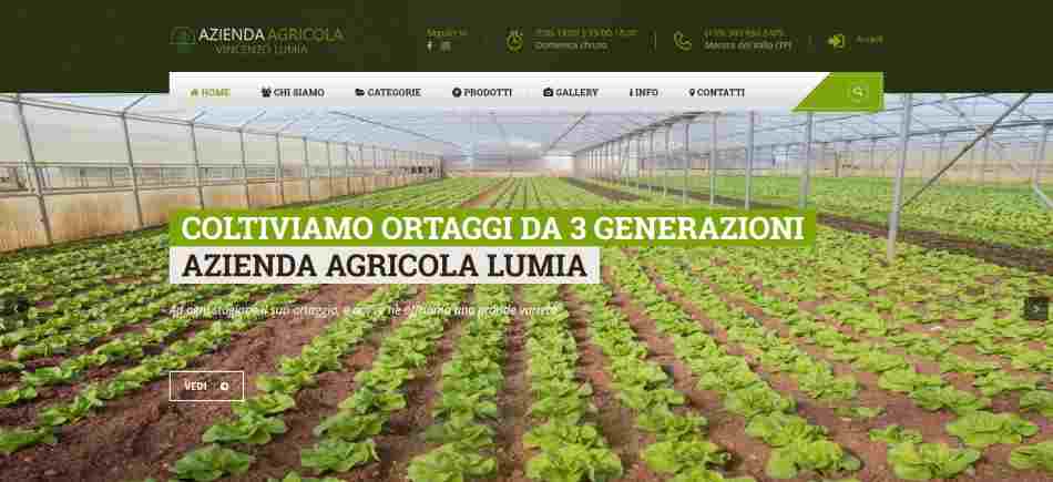 Azienda Agricola Lumia